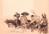 José T. Joya, Flower Orchids