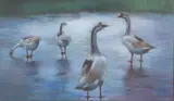 Ben Infante, Gansa, pastel