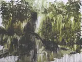 Carlo Saavedra, Untitled