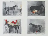 Dina Gadia, Bordello de Luxe, collage