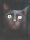 CJ Tañedo, Through the Dark, oil on canvas