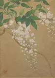 Wisteria by Unidentified artist, watercolor, offered Jan 2020