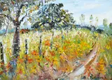 Celia Perceval, Sunflowers oil on canvas board, oil