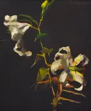Justus Jorgensen, Lilies oil on canvas on board, oil