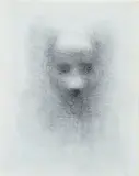 Vernon Ah Kee, Portrait 2008 pencil on canvas signed and dated verso: Vernon A. 2008 25 x 20cm, drawing