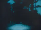 Tony Lloyd, Untitled 2001 oil on canvas board, oil