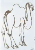 Brett Whiteley, Vendor agreed to tdrop res to 5500 on 16 Sept SU Camel, Taronga Zoo ink on paper signed lower right: brett whiteley