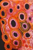 Wingu Tingima, Kapi Piti 2007 acrylic on canvas inscribed with artist's name, title and date verso 174 x 123cm, acrylic