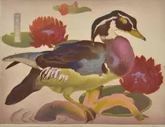 Murray Griffin, Wood-duck, 1940, linocut ed. 9/27