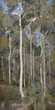 Percy Lindsay, Tall Gums
