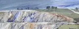 Michael Shannon, Landscape