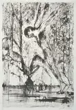 Arthur Boyd, Narcissus, lithograph 17/90