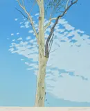 David Rose, Eucalypt III, 1975, screenprint 23/40
