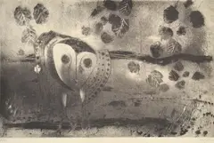 Clifton Pugh, Owl, etching 30/40