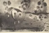 Clifton Pugh, Owl