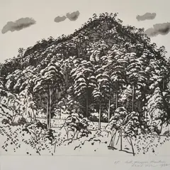 David Rose, Hill Mangrove Mountain, 1984, aquatint A/P