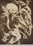 Arthur Boyd, Narcissus, Skull and Webbed Bird, etching 25/30