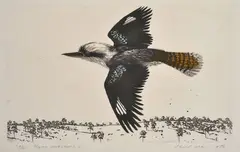 David Rose, Flying Kookaburra 1978 etching 39/40 36 x 60cm, etching