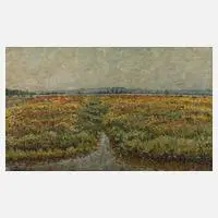 Moorlandschaft by Walter Reinke, Öl auf Leinwand, offered May 2021