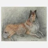 Maria Adler-Krafft, Collie, Pastell auf bläulichem Papier