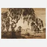 Minni Herzing, Große Landschaft, Radierung