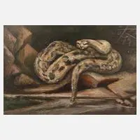 Otto Rudolf Schmidt, "Python"