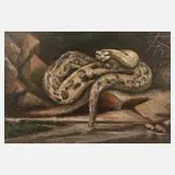 Otto Rudolf Schmidt, "Python"