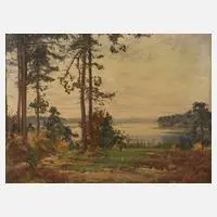 Hans Salzmann, Seelandschaft, Öl auf Leinwand