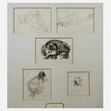 P. Seward, Hundestudien, Tuschefeder und Aquarell
