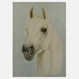 H. J. Kessler, Pferdeportrait, 1978, Aquarell auf Paper