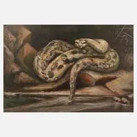 Otto Rudolf Schmidt, "Python"