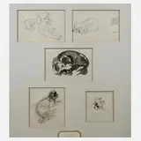 P. Seward, Hundestudien, Tuschefeder und Aquarell