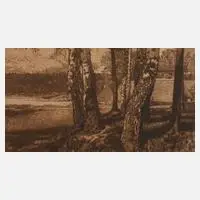 Leon Schnell, "Birkenstämme", Radierung