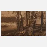 Leon Schnell, "Birkenstämme", Radierung