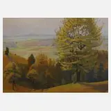 Ludwig Göbel, Blick vom Borsberg bei Pillnitz, Öl auf Karton