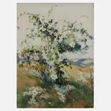 Siegfried Hauffe, Sommer im Vogtland