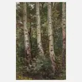 Tatjana Lietz, Birkenwald, Öl auf Hartfaserplatte