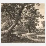 Anthonie Waterloo, Der schräg wachsende Baum, Radierung