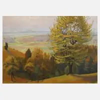 Ludwig Göbel, Blick vom Borsberg bei Pillnitz, Öl auf Karton