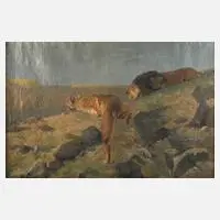 F. Brandt, Jagende Löwen nach Wilhelm Kuhnert, Öl auf Leinwand