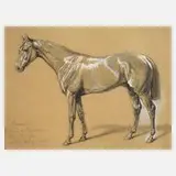 Richard Beno Adam, "Carasco", 1900