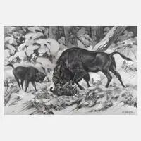 Erich Dichtl, "Wisent im Kampf mit Luchs", Temperamalerei auf Karton