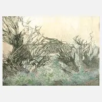 Regine Heinecke, Märchenhafte Vegetation, Mischtechnik