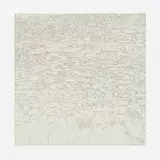 Shirley Pettibone, Water Lilies, 1974, ink on paper