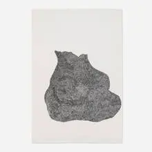 Mindy Shapero, The Furry Eye Sac That Rolls Around Collecting Eyes, 2002, ink on paper