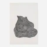 Mindy Shapero, The Furry Eye Sac That Rolls Around Collecting Eyes, 2002, ink on paper