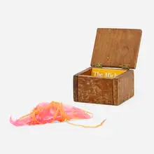 Adrian de la Pena, Untitled (From the Science Fiction Narrative: Netsuke), wood box, needle with polymer coating