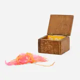 Adrian de la Pena, Untitled (From the Science Fiction Narrative: Netsuke), wood box, needle with polymer coating