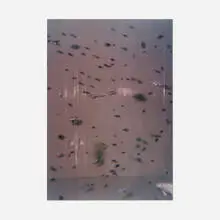 Jeanne Patterson, Fish Out of Water, 1997, acrylic hologram