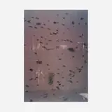 Jeanne Patterson, Fish Out of Water, 1997, acrylic hologram